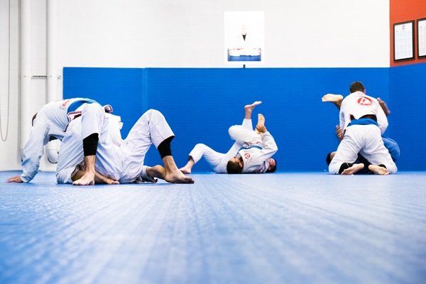 Gracie Barra Albuquerque: Which of our programs is ideal for a busy professional seeking stress relief | Phone: +1 (505) 504-2100 Gracie Barra Albuquerque: Which of our programs is ideal for a busy professional seeking stress relief | Phone: +1 (505) 504-2100